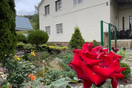 Дом с чудесным садом!