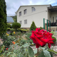 Дом с чудесным садом!