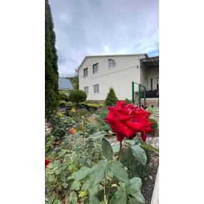 Дом с чудесным садом!